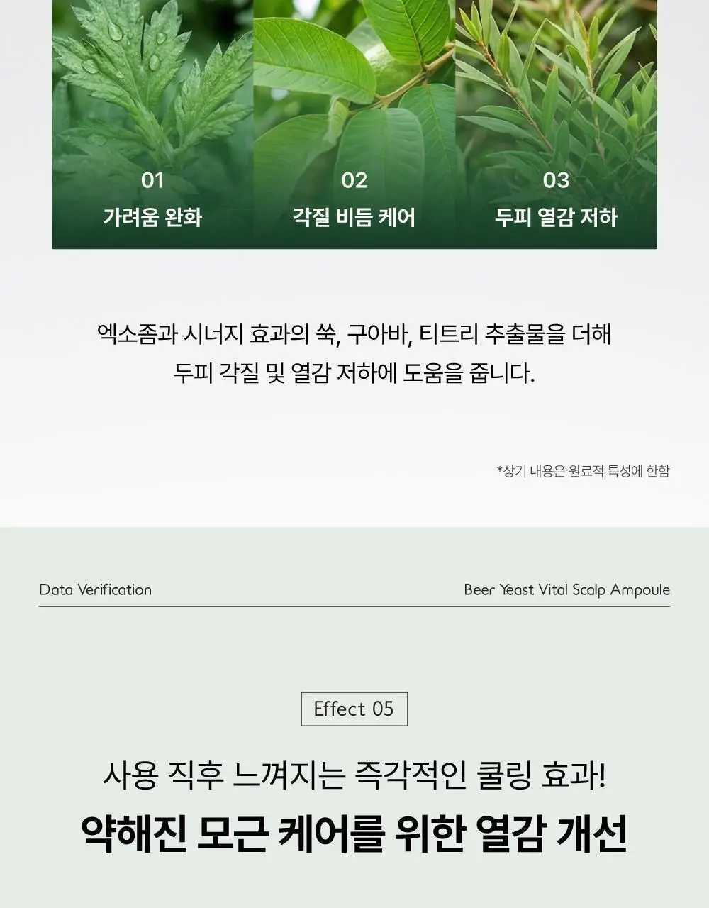 [5종임상완료/4주탈모케어] 애쉬로렌 맥주효모 바이탈 스칼프 앰플 100ml 상세페이지 42